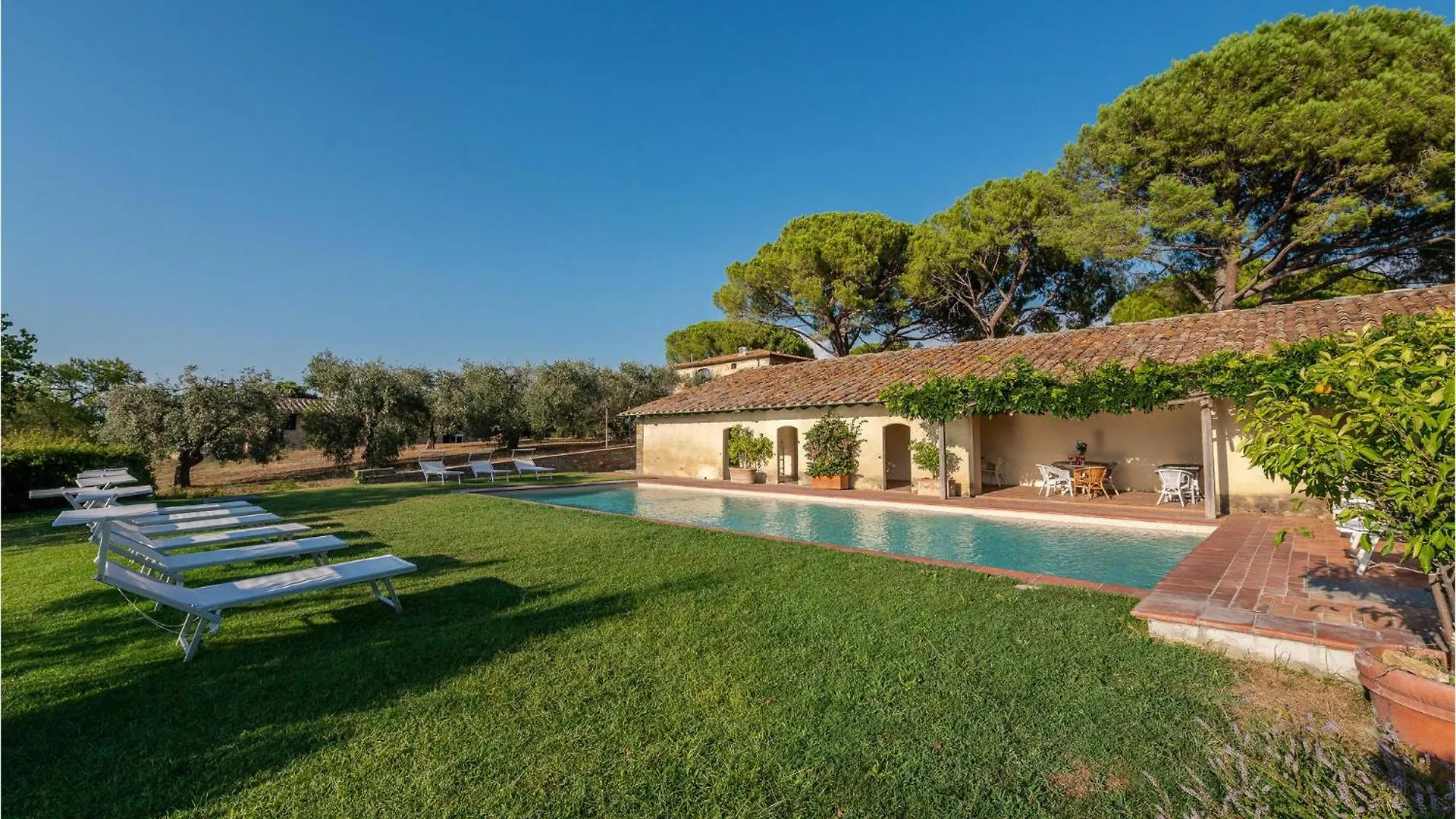 Tenuta San Crescenzio Magliano in Toscana