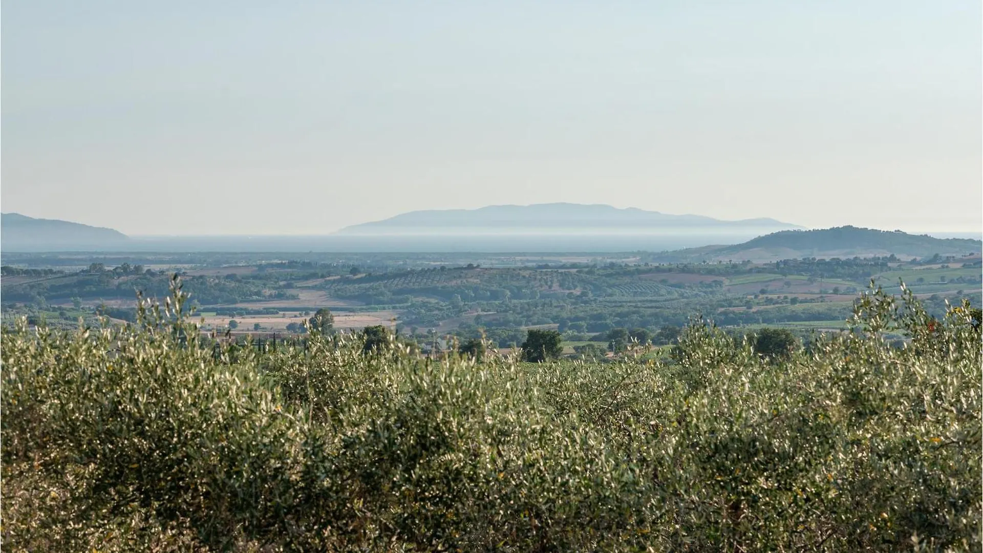 Holiday home Tenuta San Crescenzio Magliano in Toscana Italy