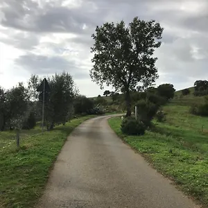 Podere Pini Magliano in Toscana